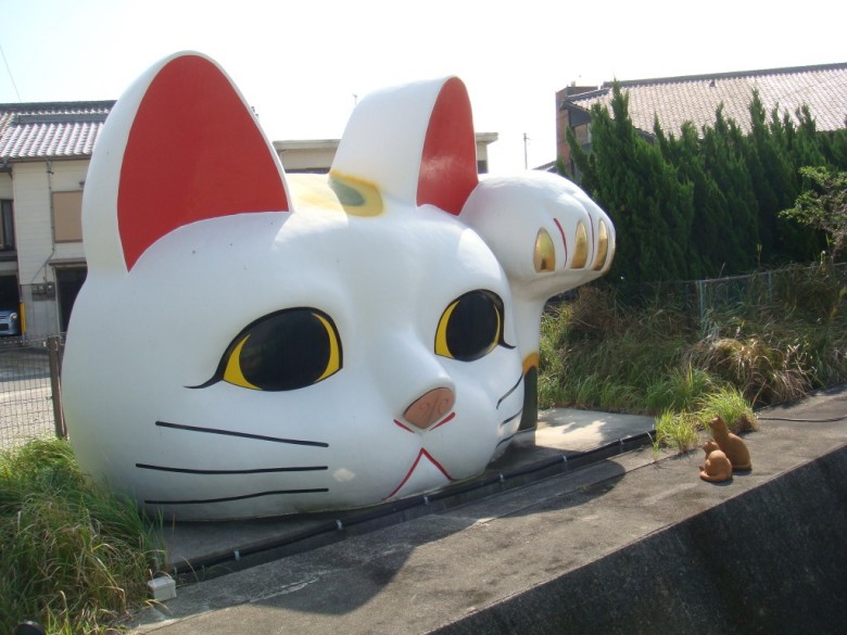 money-cat