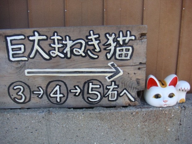 money-cat2